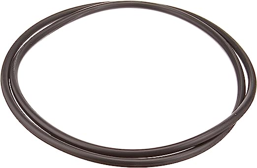 XStream CARTRIDGE FILTER O-ring BODY - HAYWARD