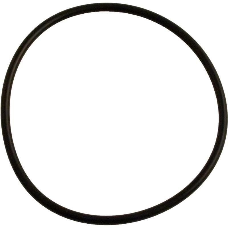 Carvin Pump Basket O-Ring – 47035241R