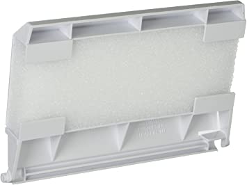 SKIMMER DOOR (white) - Hayward