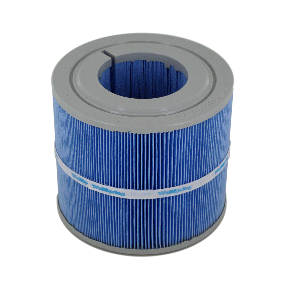 Bullfrog Spas Bodyless Filters for STIL Spas - 2 Pack (10-00810)