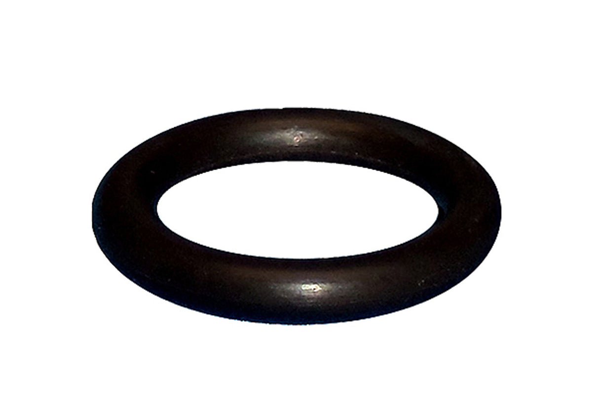 O-ring for Safety Thermistor – Model 34879