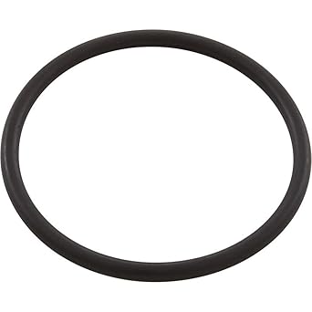 LOWER O-RING