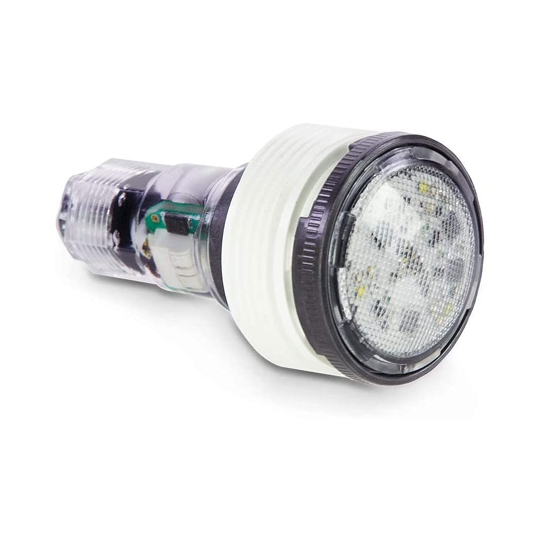 Pentair MicroBrite LED White Light