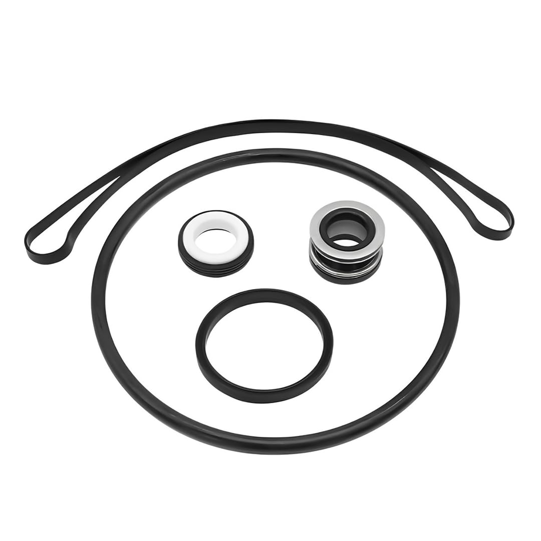 Viton seal kit for Hayward Super II pump – GO-KIT2V-9
