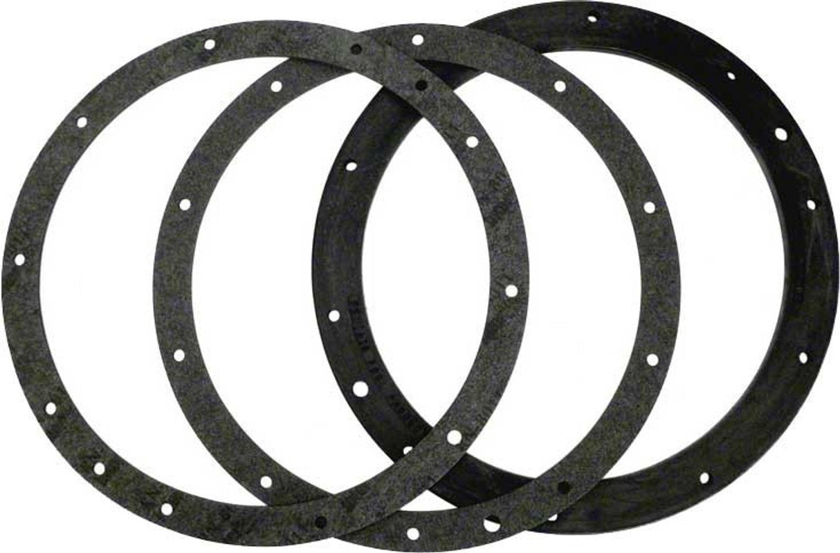 Pentair 79200700 - Gasket Set Large