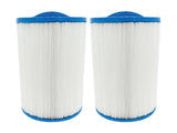 Endless Pools 77728 - Filtration Cartridge for Swim Spa (Pack of 2)