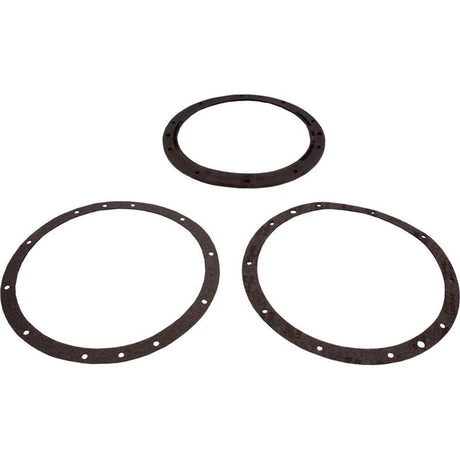 Pentair 79200700 - Gasket Set Large