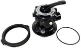 Pentair Aquatic Systems 261186 Multiport Valve