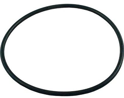 Pentair Sta-Rite U9369 - O-Ring