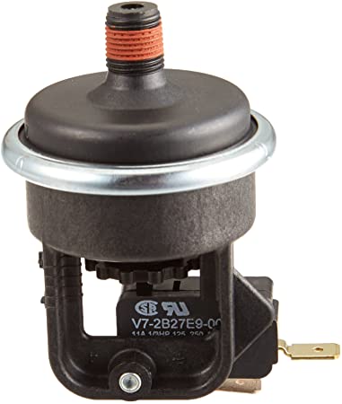 Pentair 420010060S - Pressure Switch