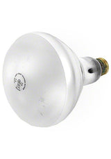 300w bulb for Stai-rite / Pentair light