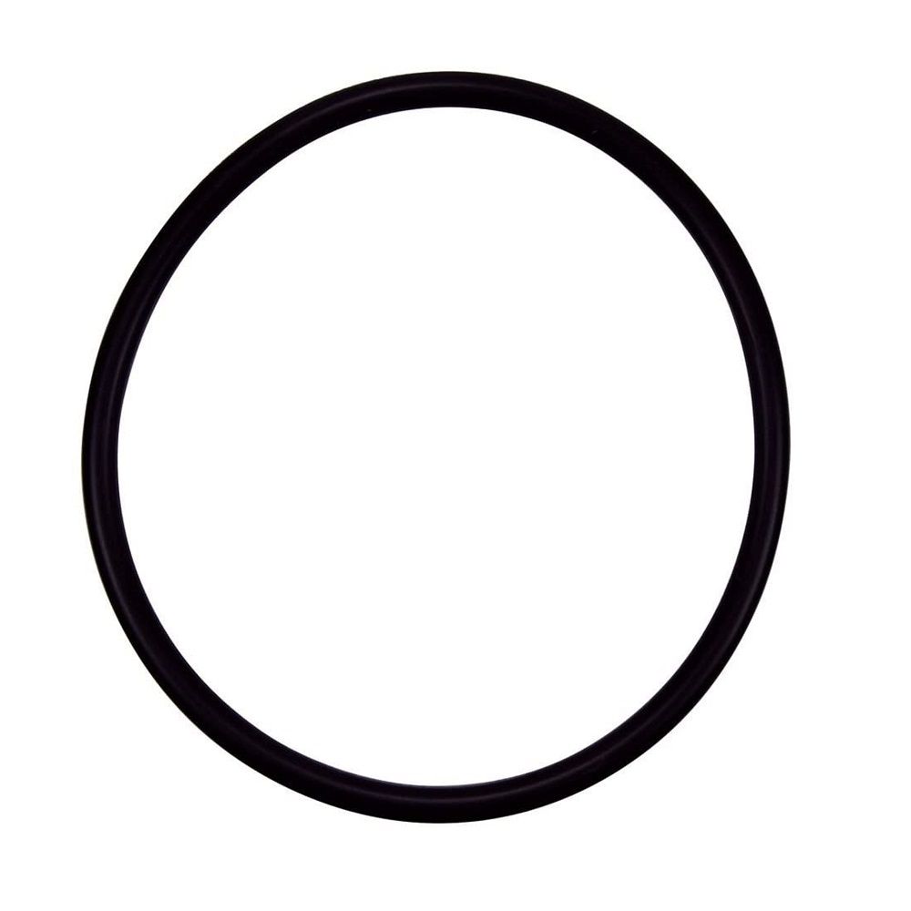 Pentair R172009Z Replacement O-ring for Rainbow Automatic Chemical Feeder Lid