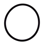 Pentair R172009Z Replacement O-ring for Rainbow Automatic Chemical Feeder Lid