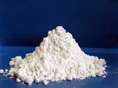 Diatomaceous earth