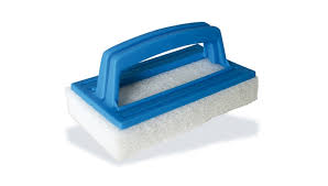 Scrub brush with pad