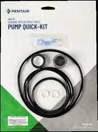 Pentair pump seal quick kit 356197